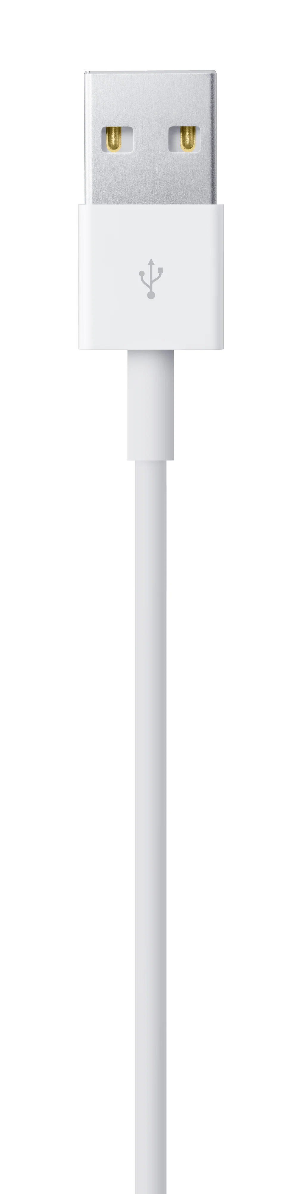 Cabo Lightning para USB (1 m) - Image 4
