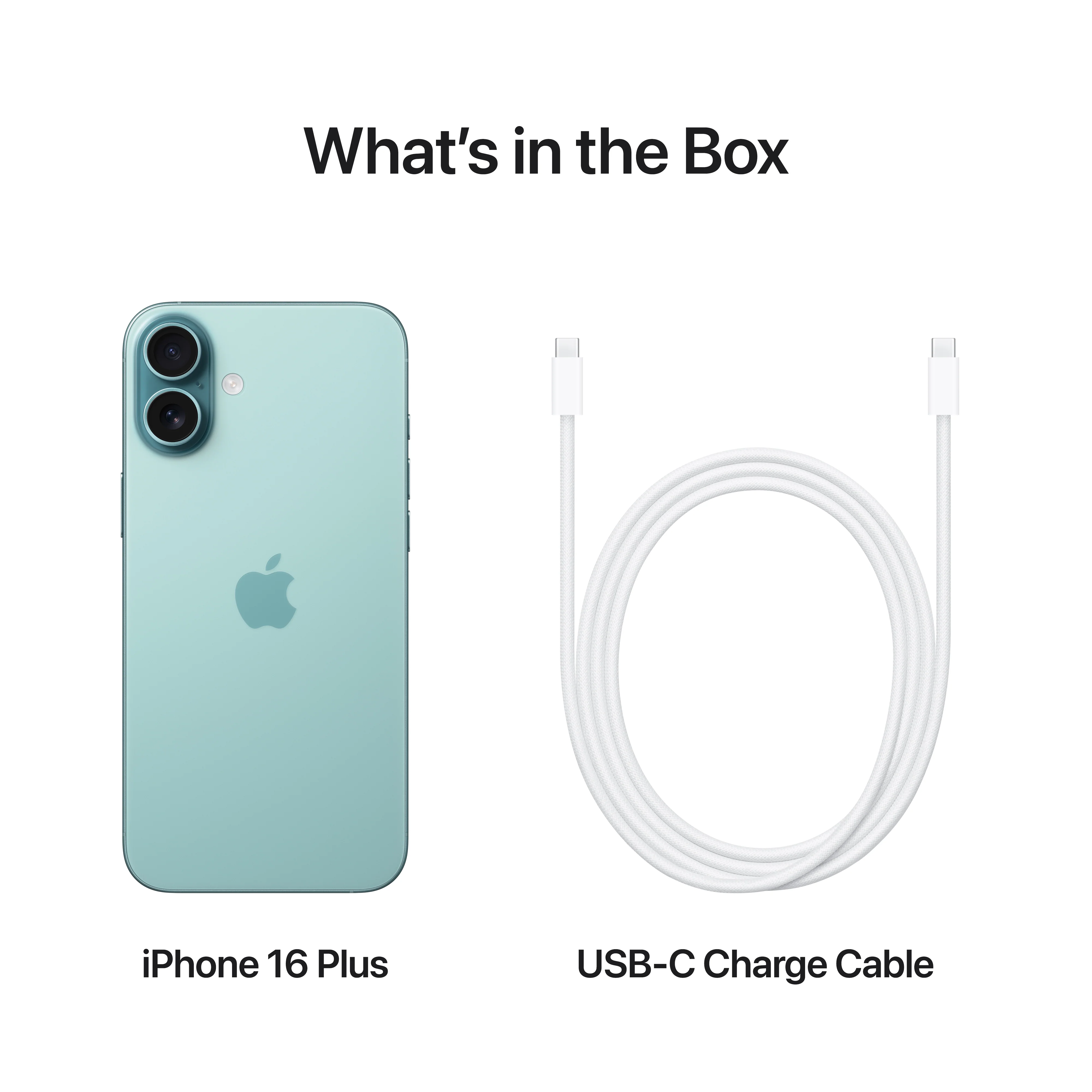 iPhone 16 Plus 128 GB Ciano - Image 10